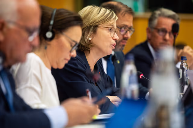 Zdjęcie 13: LIBE Committee