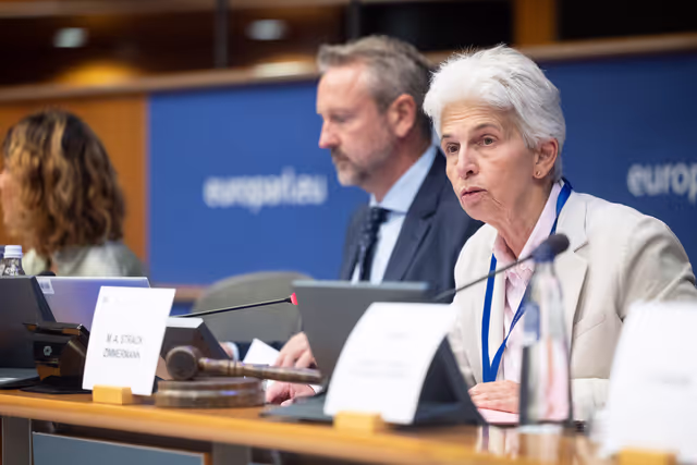 Foto 24: SEDE- High-Level Seminar on EU Security and Defence