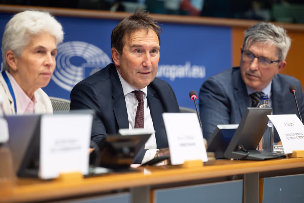 SEDE- High-Level Seminar on EU Security and Defence