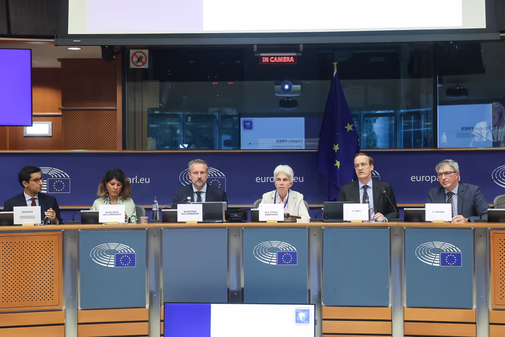 SEDE- High-Level Seminar on EU Security and Defence