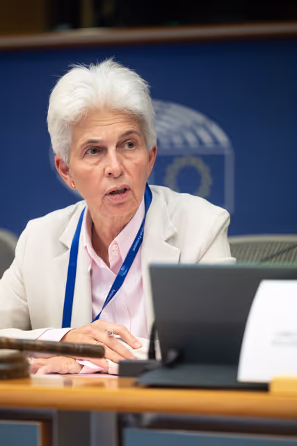 Foto 17: SEDE- High-Level Seminar on EU Security and Defence