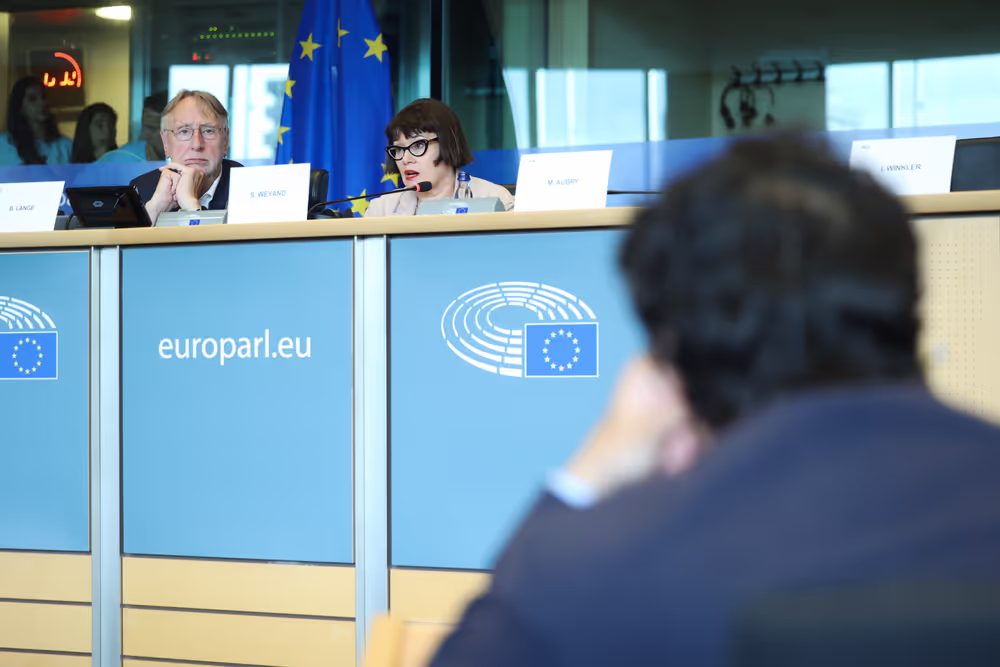 INTA Committee - State of play of EU trade policy - Exchange of views with Sabine WEYAND, Director-general of DG Trade, Commission