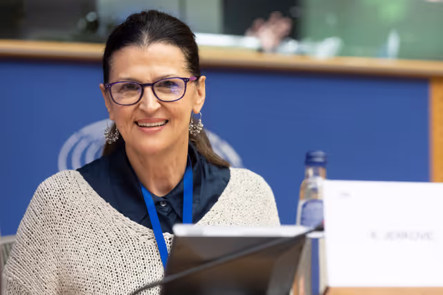 Foto 19: SANT Subcommittee