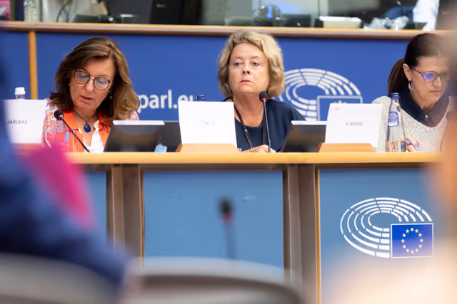 Foto 10: SANT Subcommittee