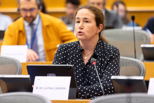 Foto 4: SANT Subcommittee