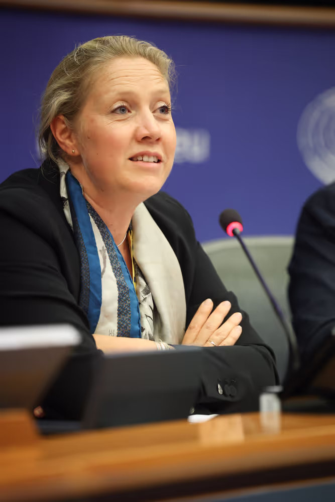 EP welcoming briefing for EU correspondants