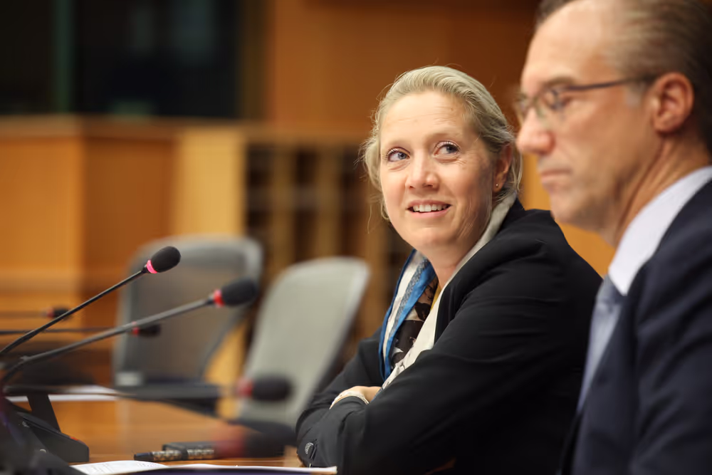 EP welcoming briefing for EU correspondants