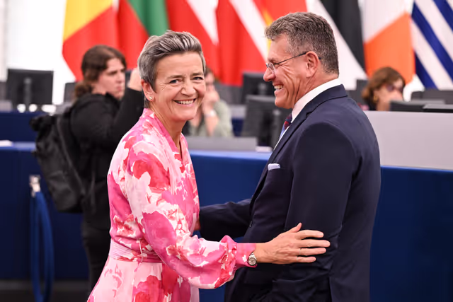 EP Plenary session - Commission statement - Global measures towards social media platforms - Strengthening the role of DSA and protecting the democracy and freedom in the online sphere