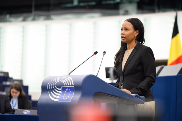 Fotagrafa 36: EP Plenary session - Commission statement - War in the Gaza Strip and the situation in the Middle-East