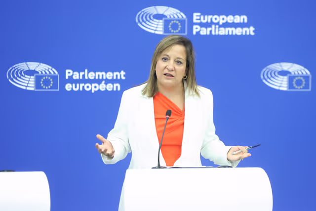 Foto 6: Press briefing S&D