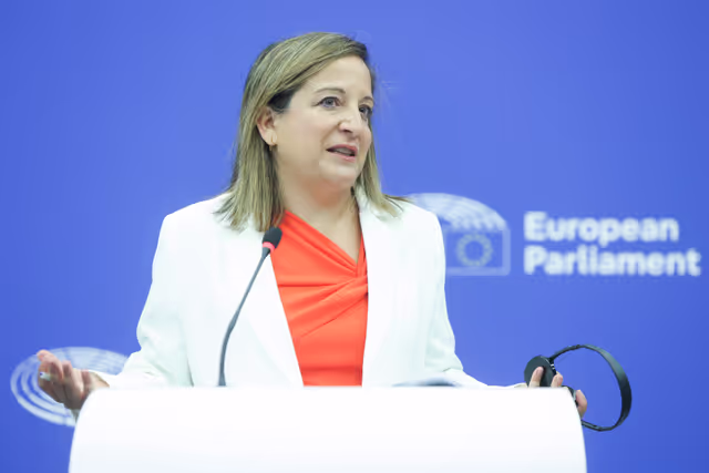 Foto 2: Press briefing S&D