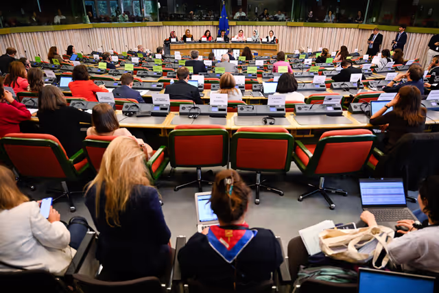 Fotagrafa 17: DROI Extraordinary committee meeting