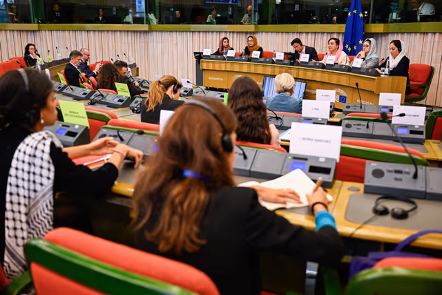 Fotagrafa 16: DROI Extraordinary committee meeting