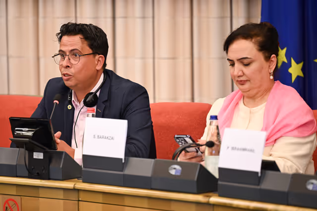 Fotagrafa 28: DROI Extraordinary committee meeting