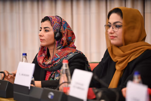 Fotagrafa 27: DROI Extraordinary committee meeting