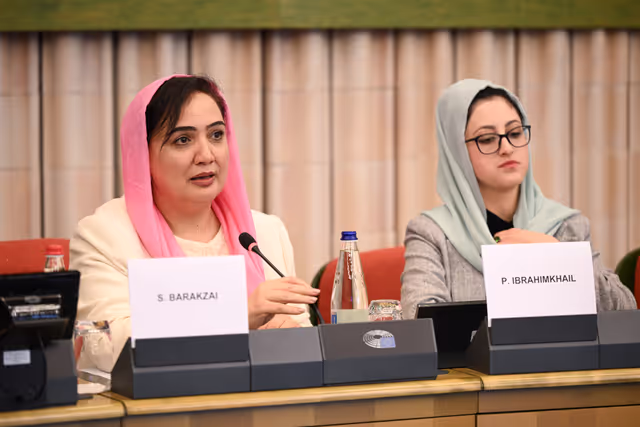 Fotagrafa 25: DROI Extraordinary committee meeting