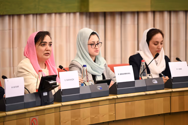 Fotagrafa 23: DROI Extraordinary committee meeting