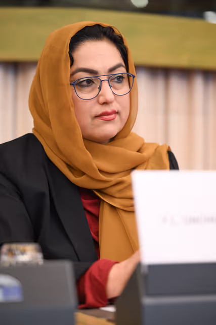 Fotagrafa 24: DROI Extraordinary committee meeting