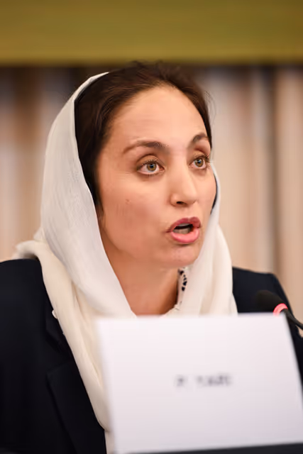 Fotagrafa 15: DROI Extraordinary committee meeting