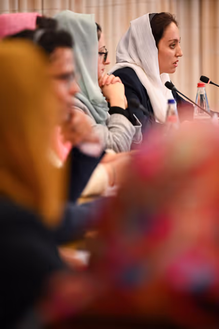 Fotagrafa 12: DROI Extraordinary committee meeting