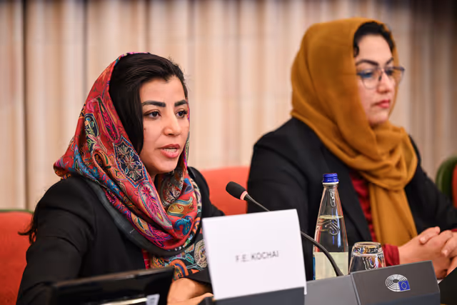 Fotagrafa 9: DROI Extraordinary committee meeting