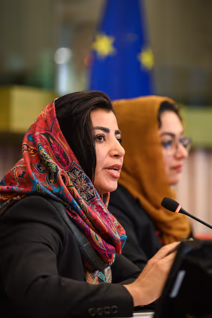 Fotagrafa 6: DROI Extraordinary committee meeting