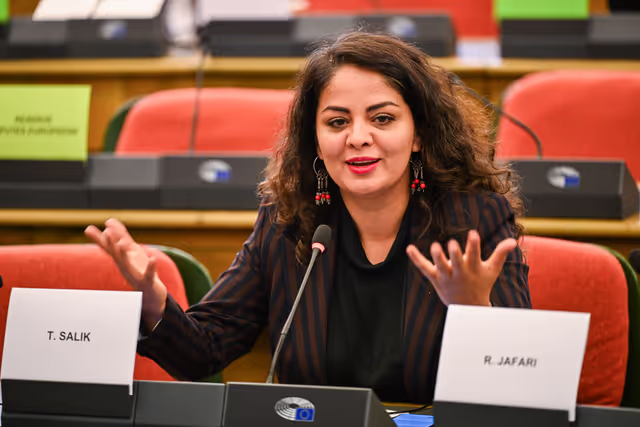 Fotagrafa 4: DROI Extraordinary committee meeting