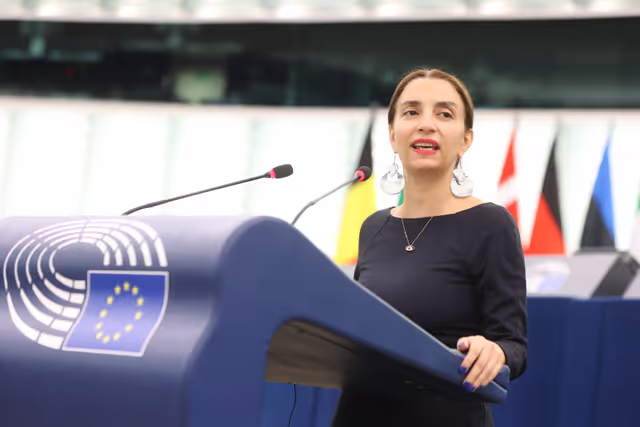 Fotografia 49: EP Plenary session - Topical Debate - Organised crime, a major threat to the internal security of the European Union and European citizens