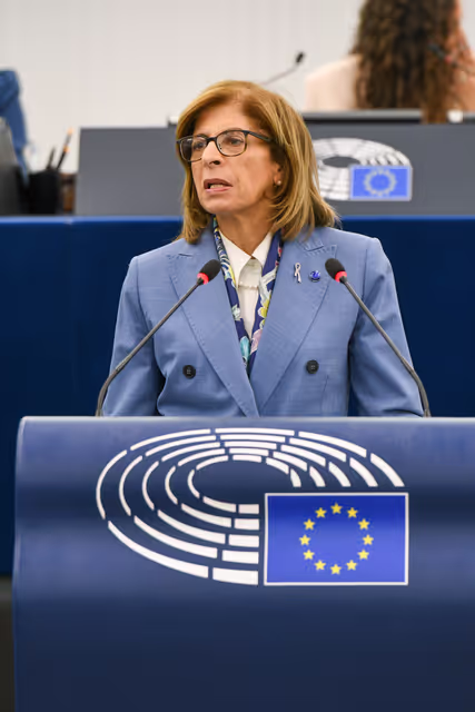 Снимка 25: EP Plenary session - Debates on cases of breaches of human rights, democracy and the rule of law