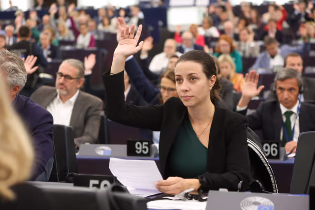 Foto 19: EP Plenary session - Voting Session