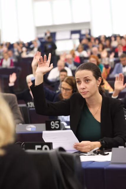 Foto 20: EP Plenary session - Voting Session