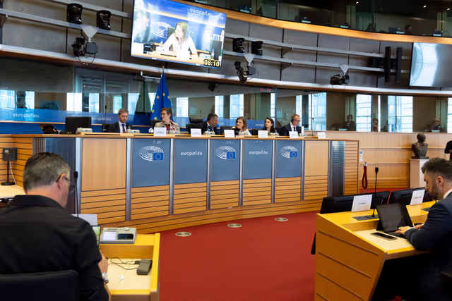 Fotografie 13: ENVI Committee - Exchange of views with Dr Anikó Raisz, Secretary of State for Environmental Affairs and Circular Economy, Ministry of Energy, Hungarian Council Presidency