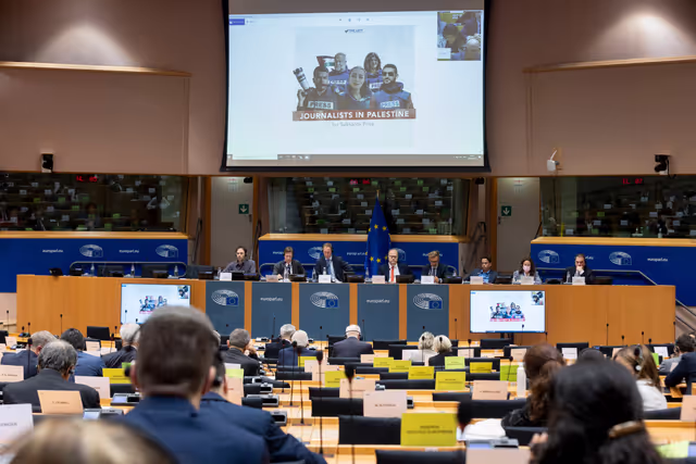 Fotografie 36: DEVE AFET DROI - Presentation of candidates for the Sakharov Prize 2024