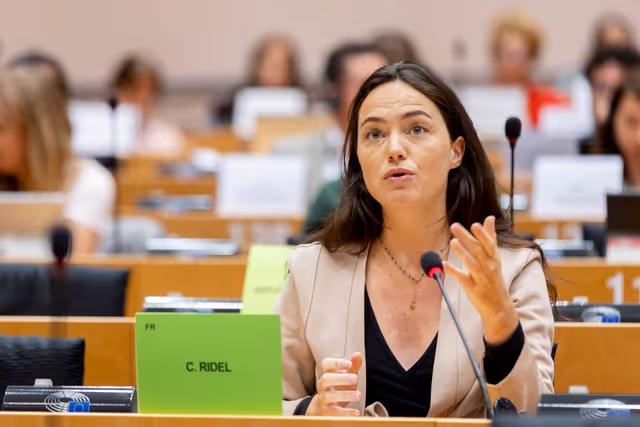 Fotografie 17: DEVE AFET DROI - Presentation of candidates for the Sakharov Prize 2024