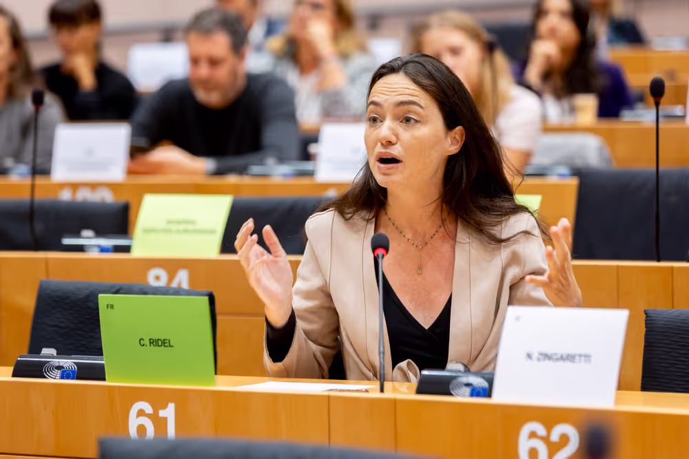 DEVE AFET DROI - Presentation of candidates for the Sakharov Prize 2024