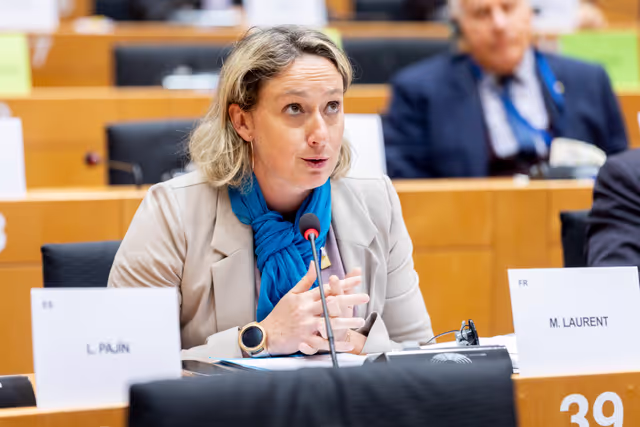 Fotografie 12: DEVE AFET DROI - Presentation of candidates for the Sakharov Prize 2024