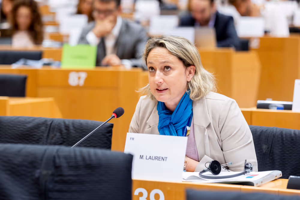 DEVE AFET DROI - Presentation of candidates for the Sakharov Prize 2024