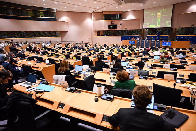 Fotografija 2: DEVE - Presentation of the priorities of the Hungarian Presidency - Exchange of views with Tristan AZBEJ State Secretary