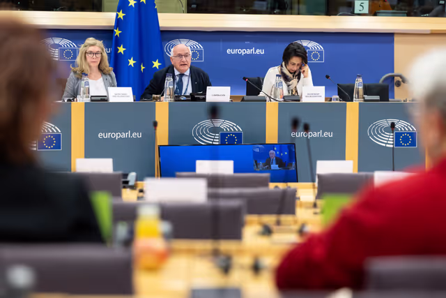 Foto 9: Delegation to the Caribbean-EU Parliamentary Assembly Constitutive meeting