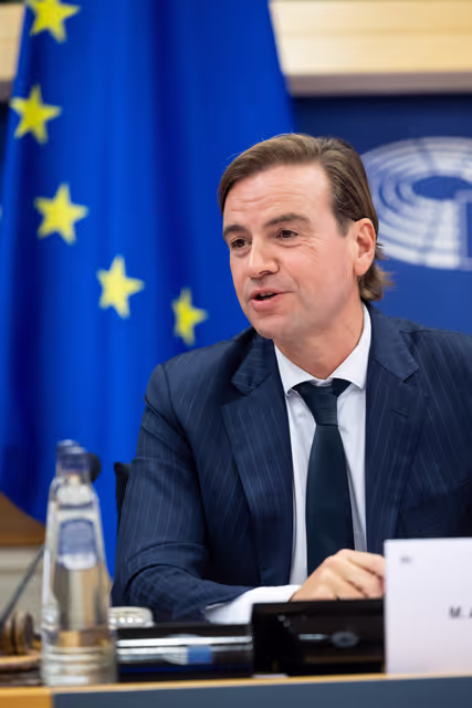 Foto 4: Delegation to the Caribbean-EU Parliamentary Assembly Constitutive meeting