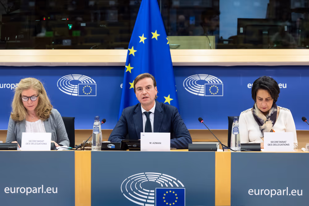 Delegation to the Caribbean-EU Parliamentary Assembly Constitutive meeting