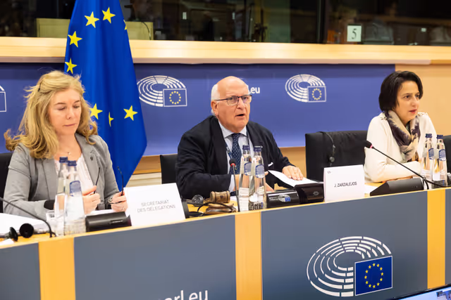 Foto 12: Delegation to the Caribbean-EU Parliamentary Assembly Constitutive meeting