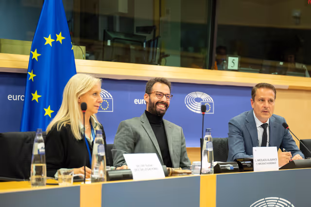 Foto 18: Delegations for relations with Palestine Constitutive meeting