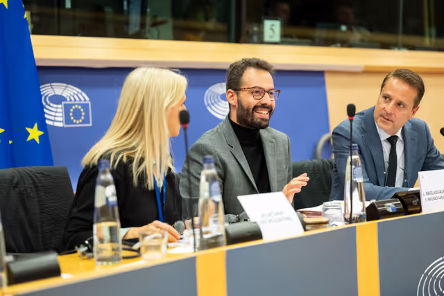 Foto 22: Delegations for relations with Palestine Constitutive meeting