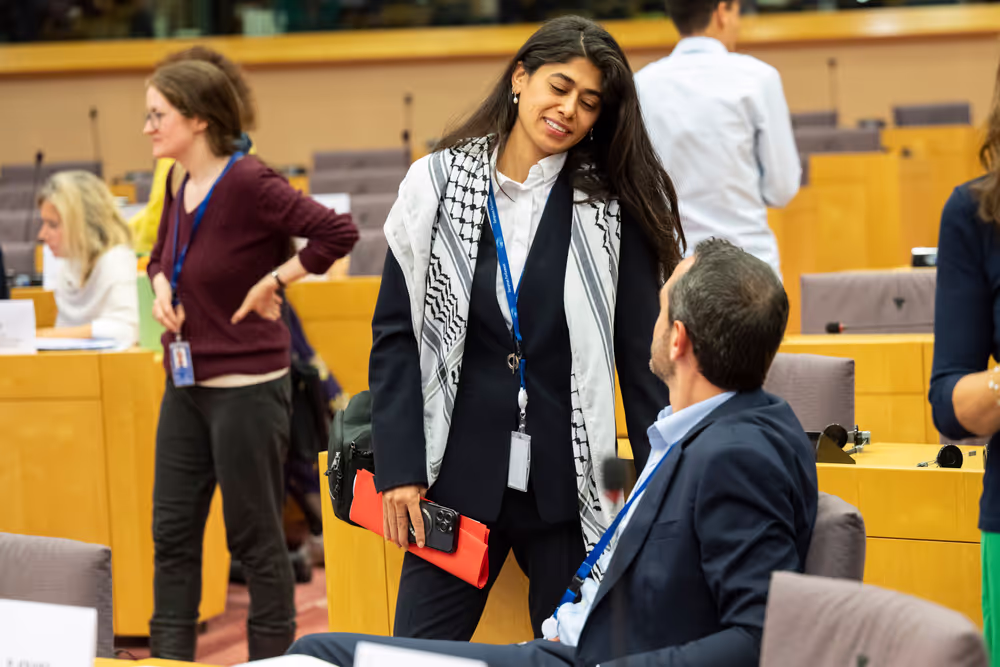 Delegations for relations with Palestine Constitutive meeting