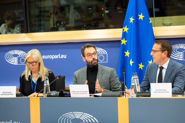 Foto 17: Delegations for relations with Palestine Constitutive meeting