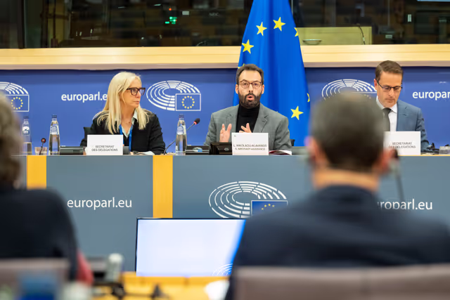 Foto 16: Delegations for relations with Palestine Constitutive meeting