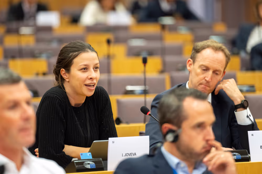 Delegations for relations with Palestine Constitutive meeting