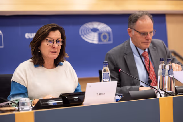 Снимка 24: Delegations for relations with South Africa Constitutive meeting