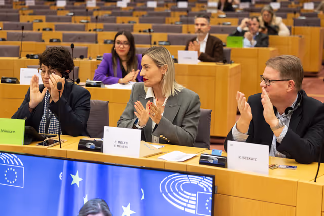 Снимка 20: Delegations for relations with South Africa Constitutive meeting